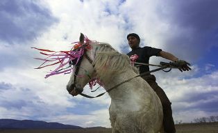 Bulgarie : Todorovden, la Pâques des chevaux