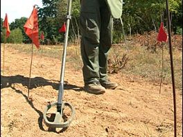 Plus de 1000 mines antipersonnel trouvées cette année en Bosnie