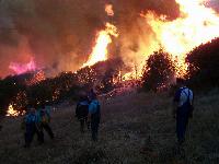 Macédoine : la région de Dojran en proie aux flammes