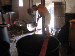 Vin en Serbie : nouvelle « cuvée » à la française