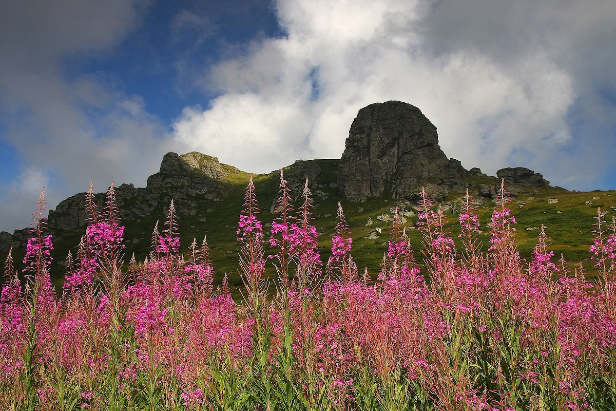 Entre Bulgarie et Serbie, le massif de la Stara planina, un paradis naturel menacé