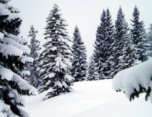 L&rsquo;Albanie et la Macédoine paralysées par de fortes chutes de neige