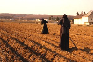 Roumanie : l&rsquo;agriculture, un secteur en pleine tourmente (1/2)