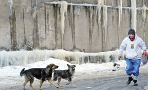 Le froid fait une trentaine de victimes en Roumanie