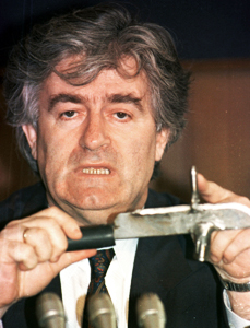 TPI : Radovan Karadžić, ou comment se jouer de la Justice internationale