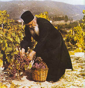La Grèce demande à une chaîne allemande de supermarchés de ne plus vendre de vin « macédonien »