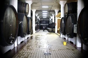Vendanges au Kosovo : les raisins de la colère