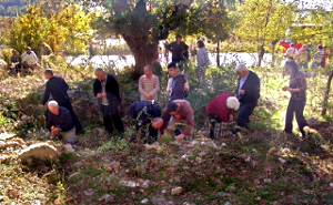 Des Serbes dans le cimetière profané du village de Mušutište(© Beta)