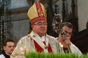 Bosnie-Herzégovine : le cardinal Puljić menacé d&rsquo;expulsion