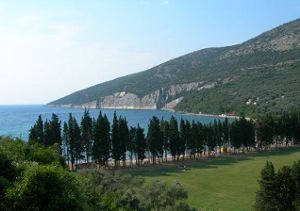 Monténégro : peut-on privatiser les oliviers de la baie de Valdanos ?