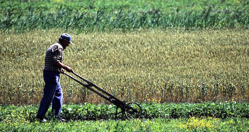 31serbfarmer3.jpg