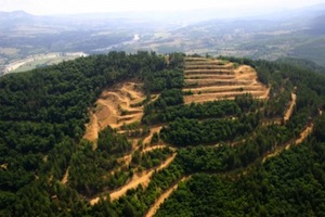 Les collines d'Ada Tepe