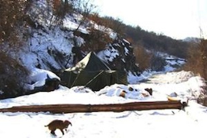 Nord du Kosovo : démantèlement de barricades, blocage de routes et reprise du dialogue