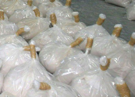 Saisie de cocaïne en Martinique : sept Croates et un Serbe écroués