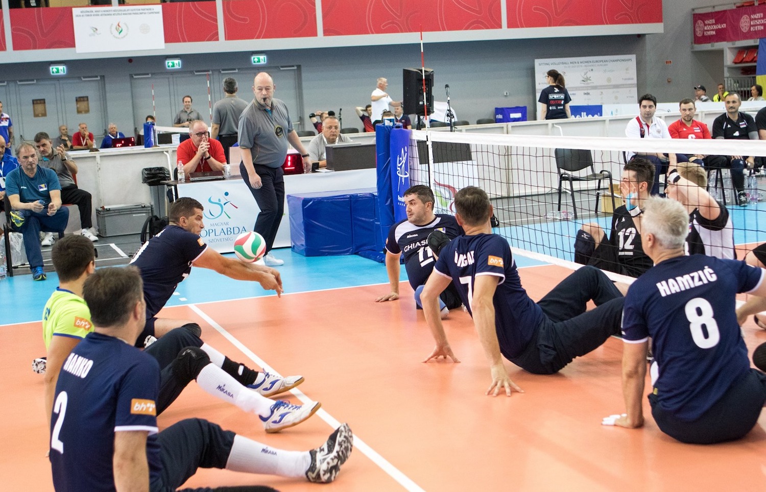 Handisport : la rage de vaincre et la rage de vivre des volleyeurs assis de Bosnie-Herzégovine