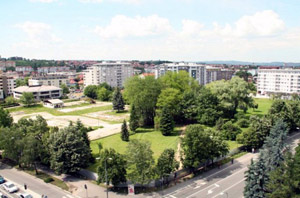 Bosnie : la « révolution du parc » sème les graines de la révolte