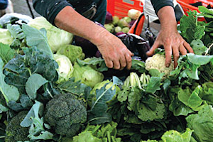 Macédoine : les produits «bio» arrivent sur la table