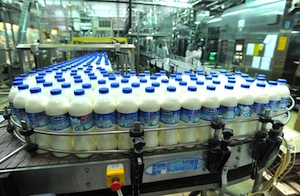 Serbie : le scandale du lait contaminé empoisonne le débat politique