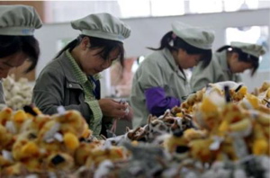 Économie : le salaire minimum est plus élevé en Chine qu&rsquo;en Serbie