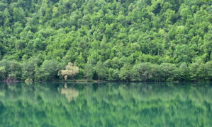Bosnie : défricher la jungle administrative de l&rsquo;État pour protéger l&rsquo;environnement