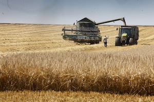 Terres agricoles en Roumanie : champ libre à la spéculation