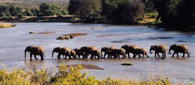 Élections en Serbie : ces politiciens qui s&rsquo;en vont au cimetière des éléphants