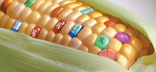 Inondations dans les Balkans : Monsanto veut «aider» les agriculteurs…