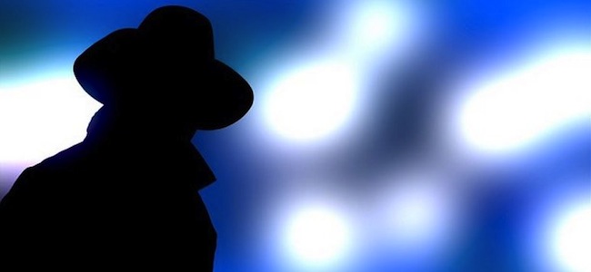 Bosnie : WikiLeaks dénonce l&rsquo;achat de logiciels d&rsquo;espionnage allemands