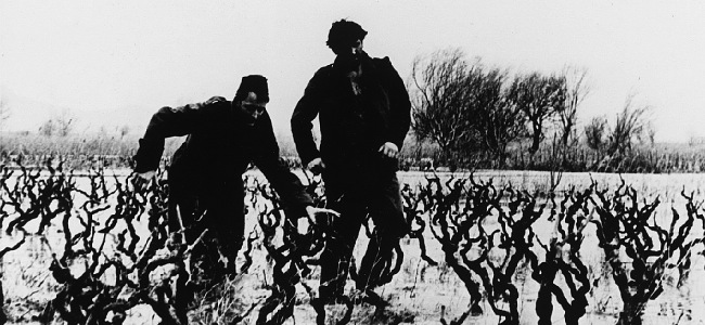 « Vague noire » yougoslave : Aleksandar Petrović, cinéaste de la dissidence