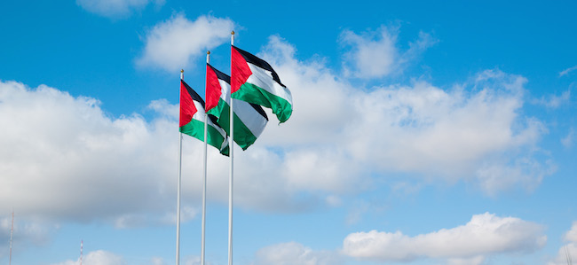 Slovénie : le Parlement appelle le gouvernement à reconnaître l&rsquo;État palestinien