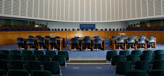 Mort d&rsquo;un jeune Rom en détention : la Cour européenne des droits de l&rsquo;Homme condamne la Roumanie
