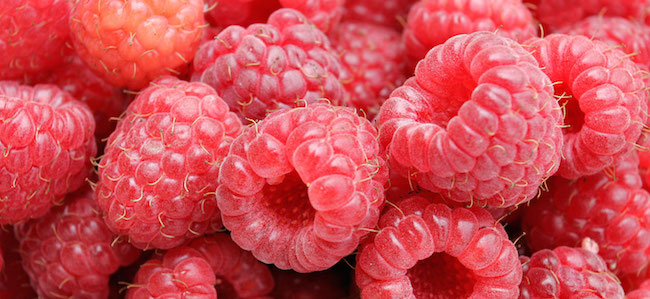 Serbie : les producteurs de framboises voient rouge