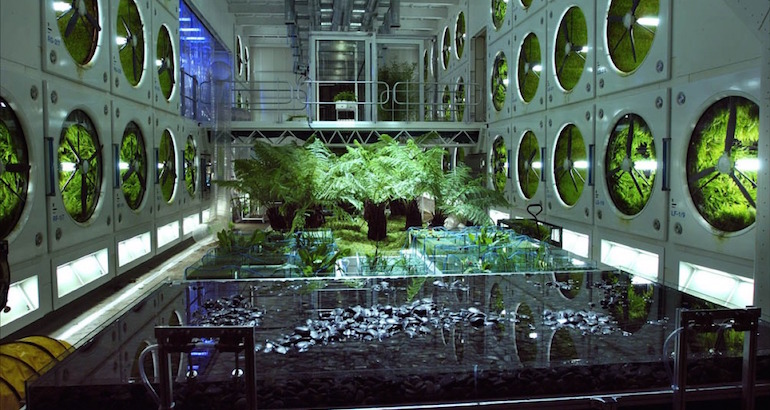 «Des humains sur Mars» : la Bulgarie cultive les salades cosmiques