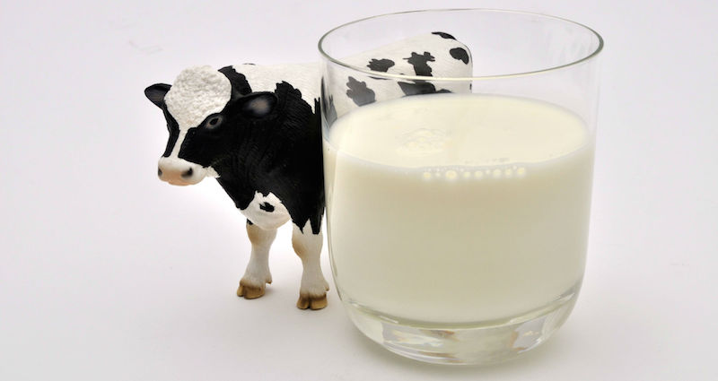 Économie : la guerre du lait est déclarée entre la Croatie et la Bosnie-Herzégovine