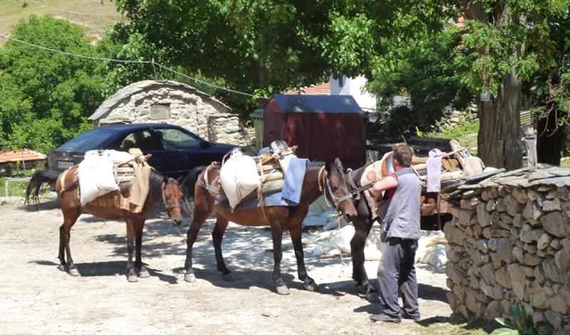 Blog • A Malovište, sur les traces des Dunda, Ciomu et autres Passima