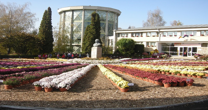 gradina_botanica_iasi.jpg