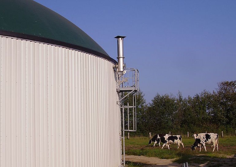Énergies : en Macédoine, une centrale biogaz sort de terre