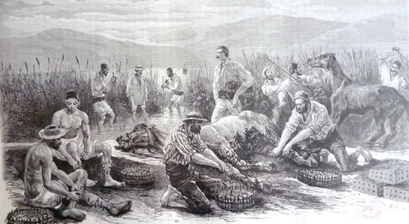 Blog • Les Turcs font le kief,  les Grecs gesticulent, les Albanais travaillent, les Aroumains font du commerce avec les sangsues (1860)