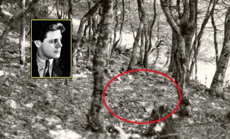 Blog • Ivan Goran Kovačić, auteur naturaliste ou simple amoureux de la nature ?