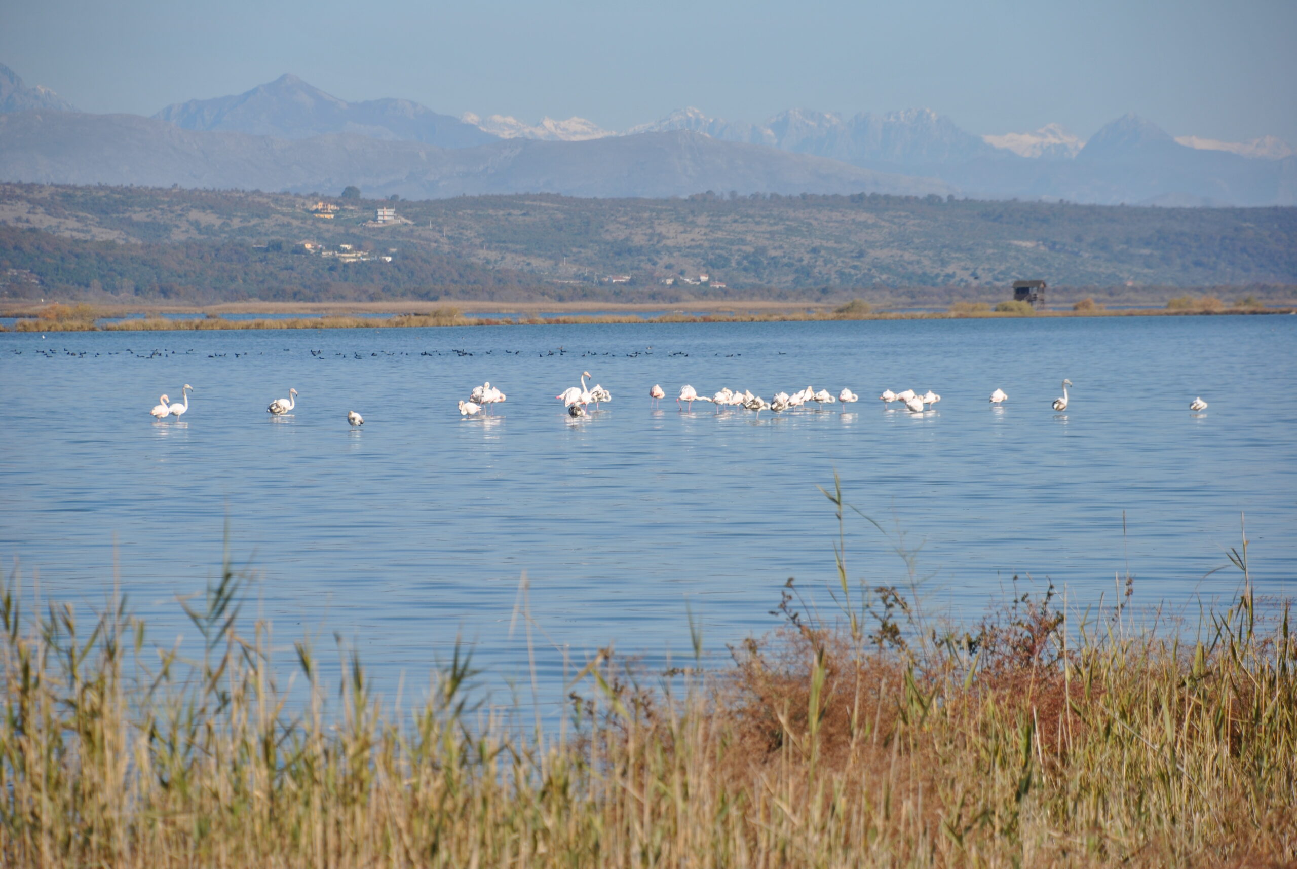 Monténégro : il faut sauver la saline d&rsquo;Ulcinj