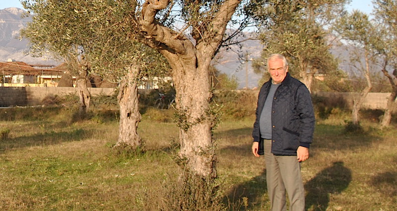 Oliviers des Balkans (3/4) | Albanie : Muhamet Trepçi, l&rsquo;artisan qui saisit les émotions des oliviers