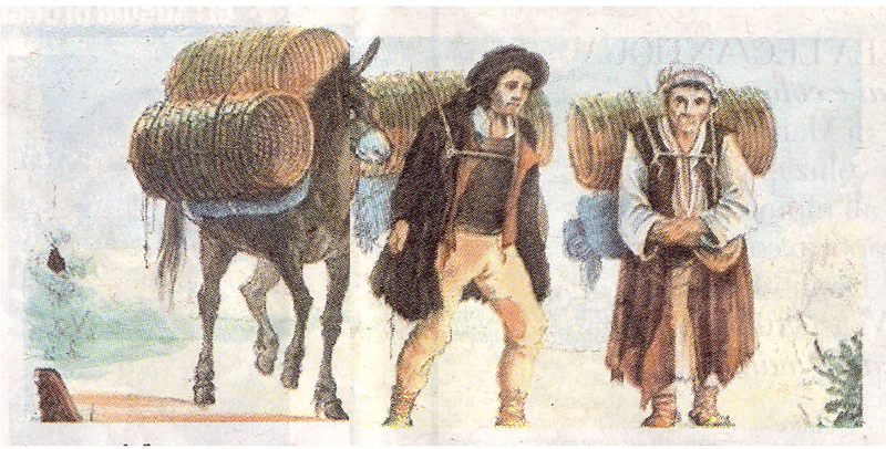 Blog • A Trieste, sur les traces des Cici, Istroroumains et autres Vlassi