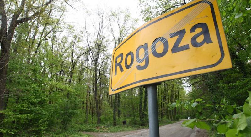 Slovénie : ce village qui se mobilise pour défendre sa forêt