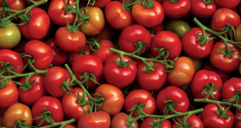 Droits de douane sur les produits agricoles : front commun contre la Croatie
