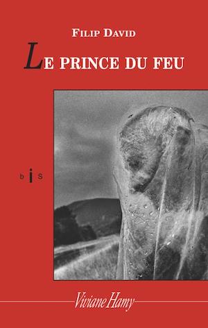 Roman – Le prince du feu