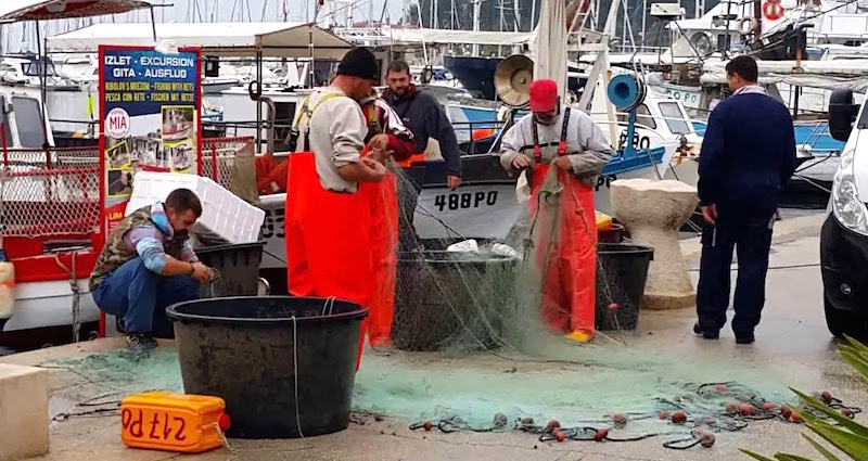 Pêche en Croatie : avec l&rsquo;UE, les gros poissons font couler les petits patrons