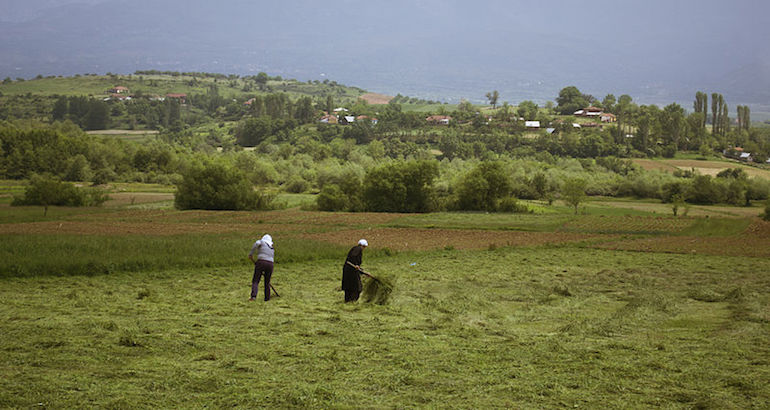 Albanie : les terres agricoles les plus chères d&rsquo;Europe ?