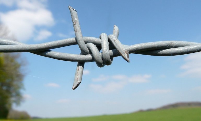 barbed-wire-6904_960_720-9b7f3.jpg