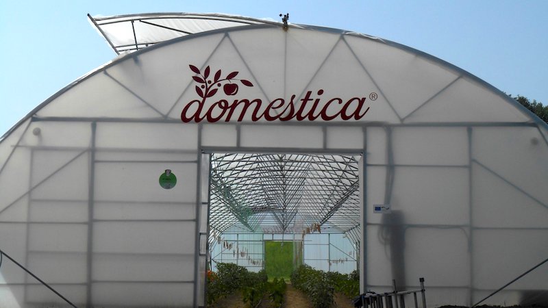 Bosnie-Herzégovine : avec le CERD, la Republika Srpska se met au bio
