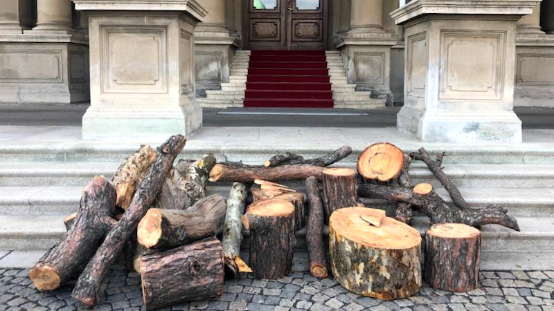 Serbie : la mairie de Belgrade s&rsquo;attaque aux arbres de la forteresse de Kalemegdan
